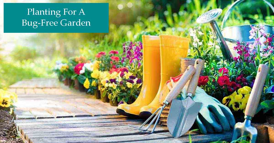 Planting For A Bug-Free Garden