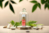 Noche Vitamin C Serum encased in a glass dome, surrounded by green plants and small rocks.