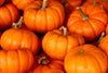 pile of small orange pumpkins.